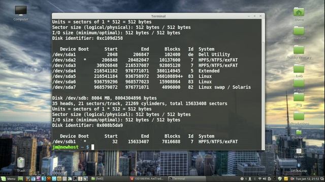 How To Force a USB mount (when not auto-mounting) in Linux Mint смотреть онлайн