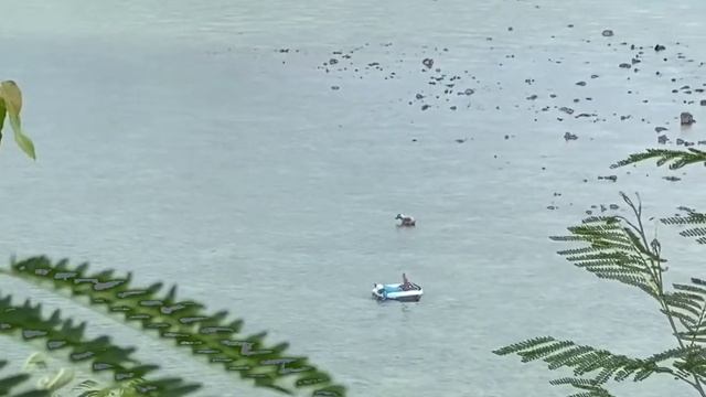 Шум реки и пение птиц/Музыка для релаксации/Музыка 2021 смотреть онлайн