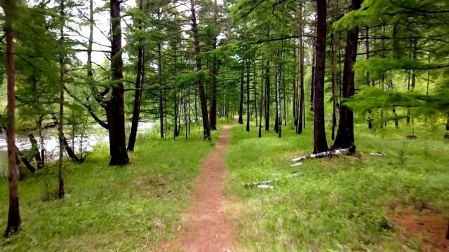 Горная река Никишиха Забайкальского края смотреть онлайн