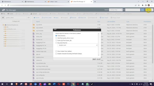 How To Fix Briefly Unavailable For Scheduled Maintenance Error In WordPress | Stuck Maintenance Mod смотреть онлайн