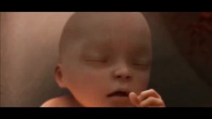 Xadidja Magomedova - Rahman.