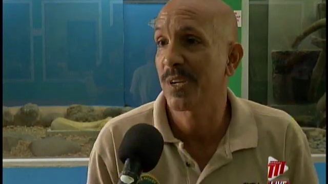 Snake And Handler Reconcile - All Is Well With Walter смотреть онлайн