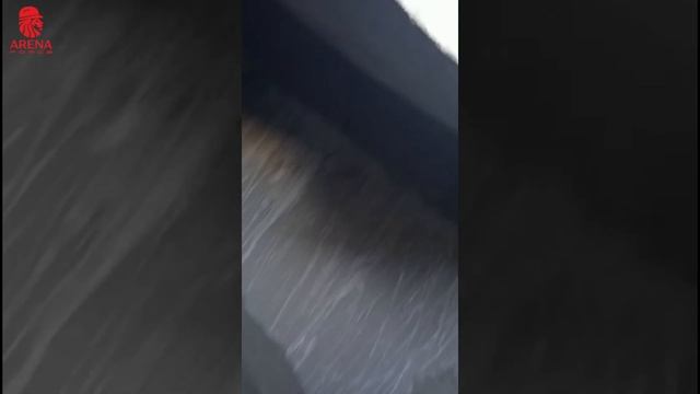 Гидроизоляция колодца обмазочным эластичным цементным составом ARENA PolyElast PE смотреть онлайн