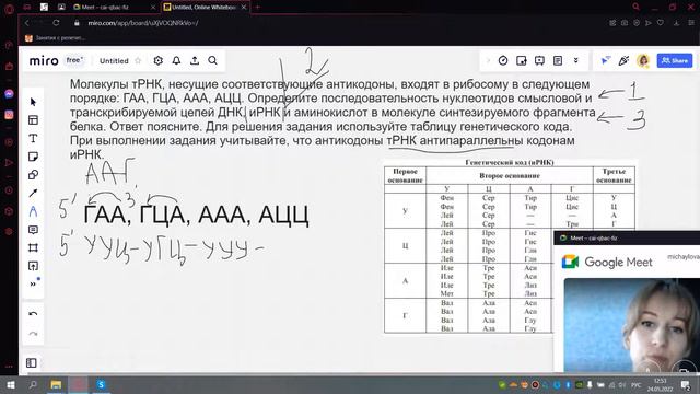 Биосинтез белка 2 смотреть онлайн