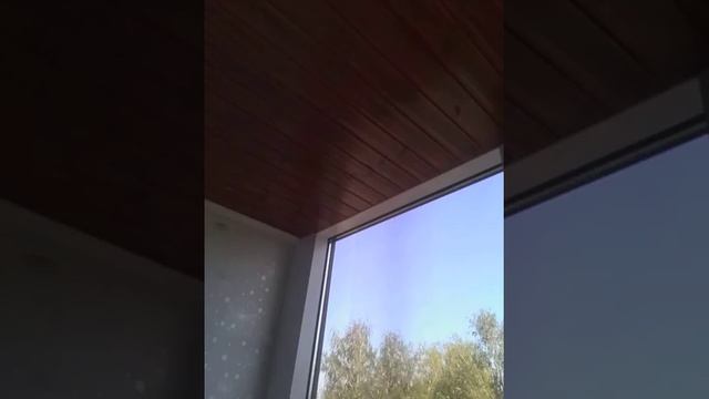 Двух цветная сосновая вагонка с пятью слоями лака на балконе с панорамным остеклением смотреть онлайн