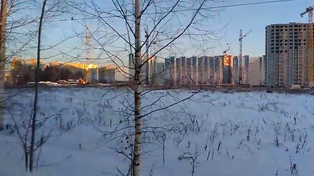 ЖК Зеленоградский смотреть онлайн