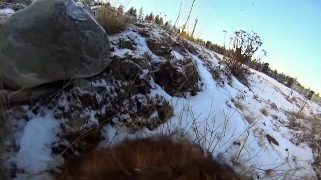 Кладбищенский вор 60 fps смотреть онлайн