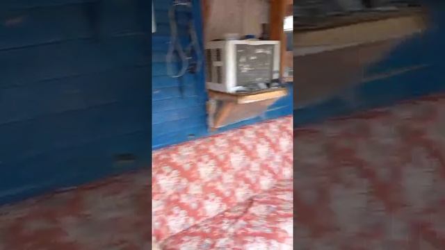 Помогите построить кухню для собак смотреть онлайн