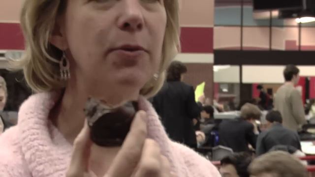 Thank You For Judging, Official Trailer