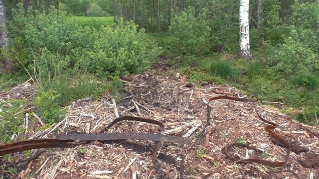 Нашли схрон в лесу около заброшенной деревни. смотреть онлайн