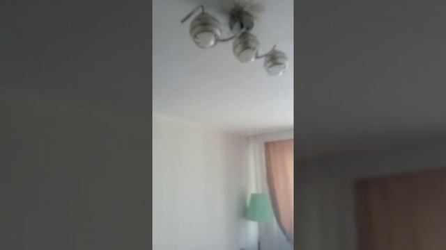 Потоп в квартире смотреть онлайн