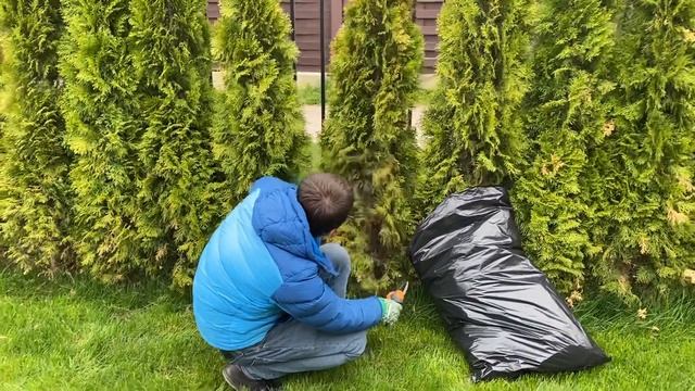 Лайфхаки. Сервисный подход за Туями. Обслуживание участка смотреть онлайн