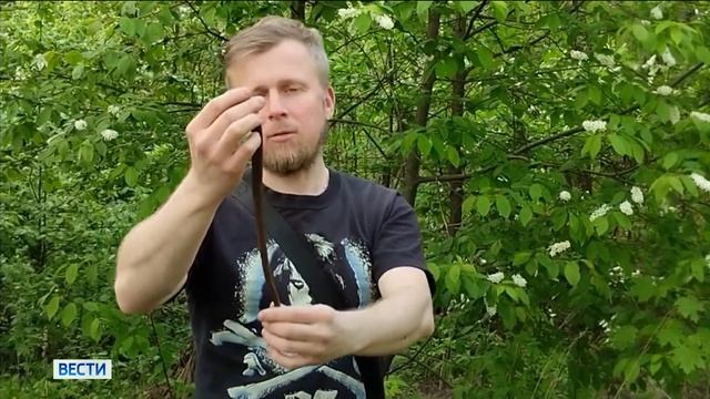Жители Гусь-Хрустального активно обсуждают видео необычного существа смотреть онлайн
