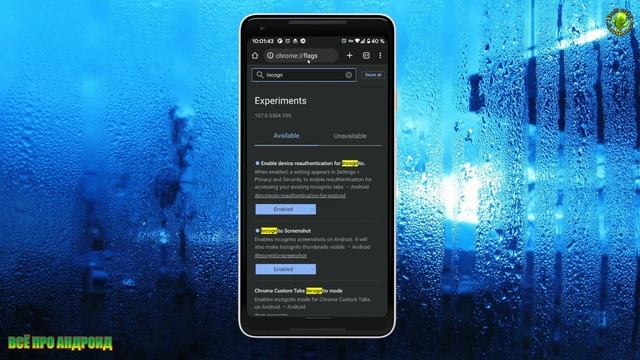 Защита вкладок инкогнито в Chome отпечатком пальца или пинкодом смотреть онлайн