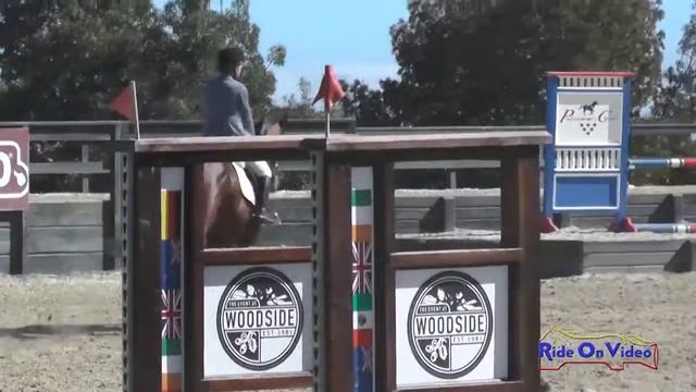 088S Tatjana Ziemer On Finding Nemo SR Training Show Jumping Woodside August 2015
