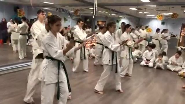 Sanchin kata Uechi ryu karate Okikukai / Kyu test examination kids смотреть онлайн