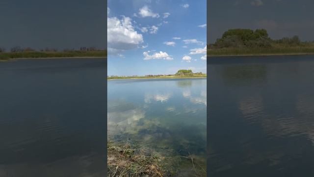 Рыбалка на сазана, бешеный клев, рыбалка на Кураксу, смотреть онлайн