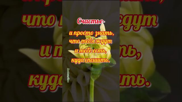 Берегите родных, близких и любимых! #пожелания смотреть онлайн