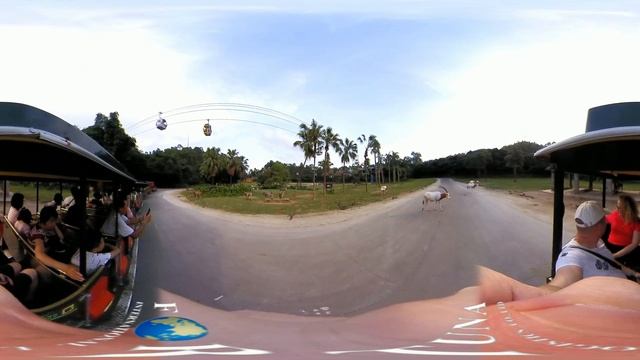 Safari on Weel Сафари парк CHIMELONG в Гуанчжоу прогулки по Китаю путешествия Китай guangzhou vr 36 смотреть онлайн