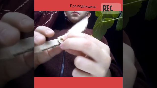 Нож бабочка из картона смотреть онлайн