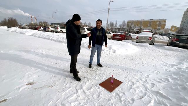 Тайны собачьего мира: мир таенств и мистики