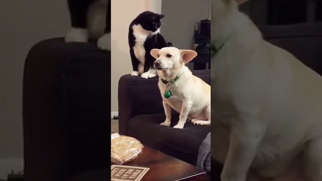 Не расслабляйся смотреть онлайн