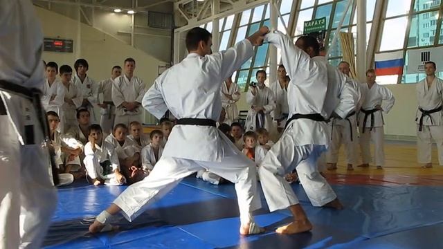 Yahara Sensei. Moscow 2009 смотреть онлайн