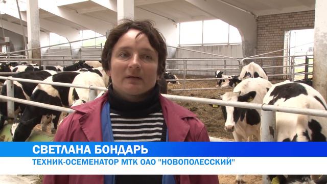 Молочно-товарный комплекс ОАО «Новополесский». смотреть онлайн