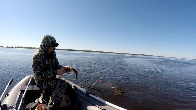 Ловля на КОЛЬЦО Результат рыбалки превзошёл все ожидания СИБИРИЯ смотреть онлайн