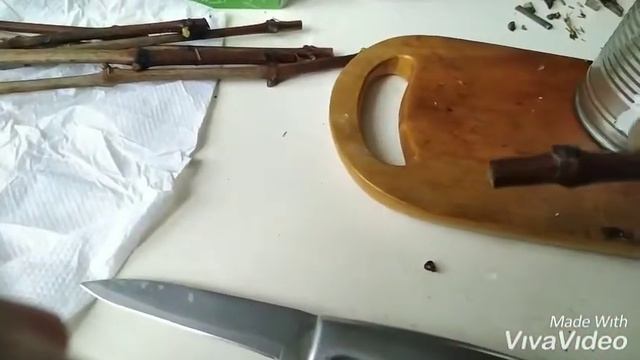 Размножение винограда черенком.Часть - 2 смотреть онлайн