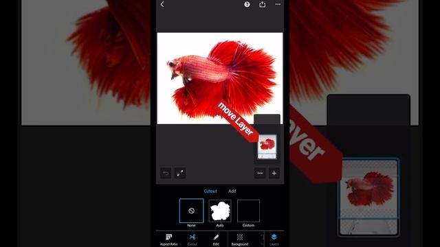 Photoshop Express tutorial - Photo collage смотреть онлайн