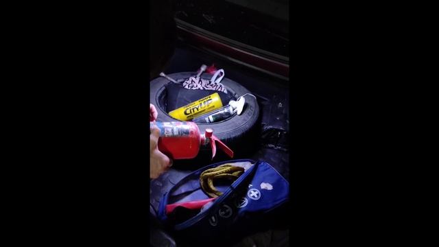 прохождение технического осмотра автомобиля с фото видео фиксацией 2021. Махачкала смотреть онлайн