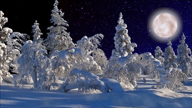 Футаж для монтажа видео- Зимний лес (луна, звёзды,снег) смотреть онлайн