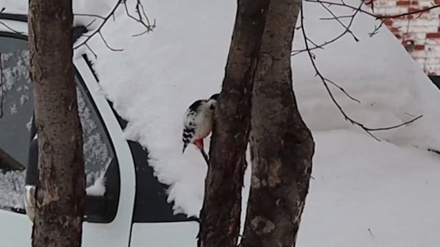 К нам прилетел гость смотреть онлайн