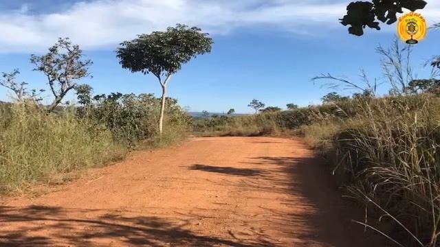 Воскресная медитация. Энергии Исцеления и Омоложения смотреть онлайн