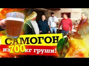 Самогон из груши / ШНАПС / Грушевый сидр