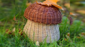 Шкатулка Грибочек