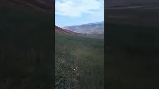 касилке смотреть онлайн