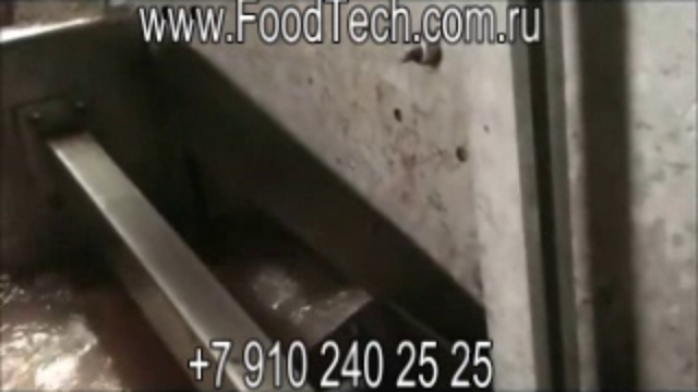 Мойка картофеля Www.FoodTech.com.ru