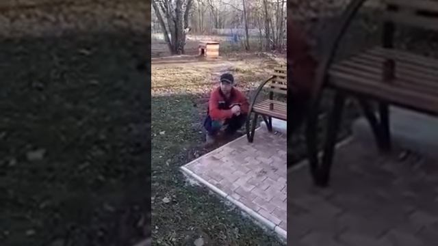 Тяжёлое похмелье смотреть онлайн