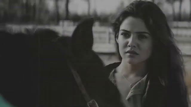 Даниэль Кэмпбелл смотреть онлайн