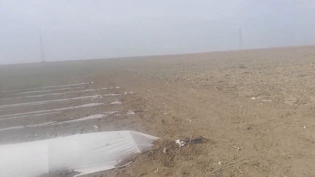 133 Дыня на 29 Марта (2020) смотреть онлайн