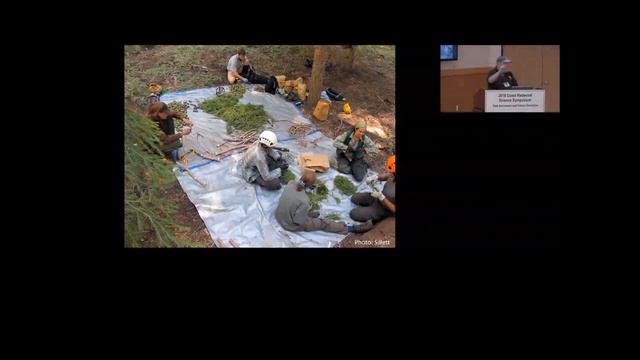 Robert Van Pelt - Carbon Stocks in Tall, Old-growth Redwood Forests смотреть онлайн