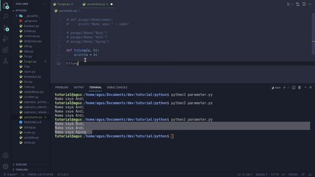 Tutorial Dasar Python #27 - Parameter смотреть онлайн