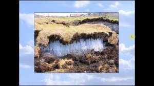 Природа Сибири   2. География 9 класс.