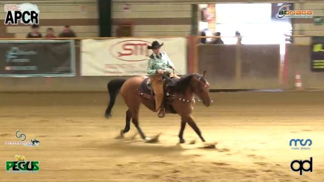 NRHA APCR MAY BE RIDING 2019 - BUSSETTI SERENA & OT TARIS TABA SPRING score 64,5 смотреть онлайн