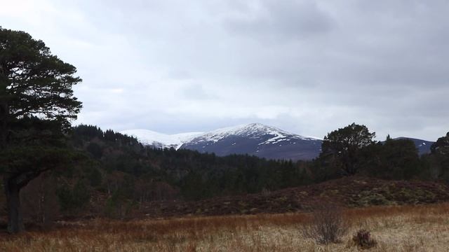 Aviemore // Exploring the Scottish Highlands ?? смотреть онлайн