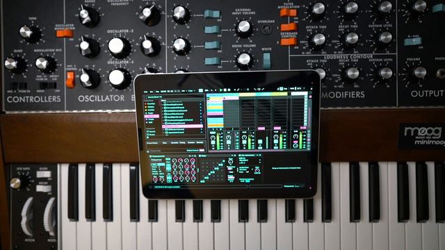 Ableton Telequencer and minimoog смотреть онлайн