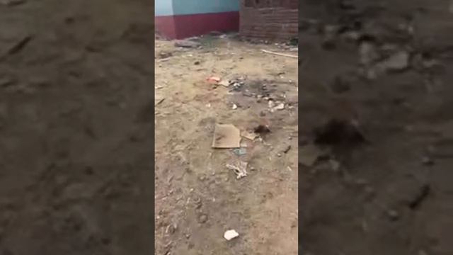 Dj Shashi Jharkhand No.1 Dj is live смотреть онлайн