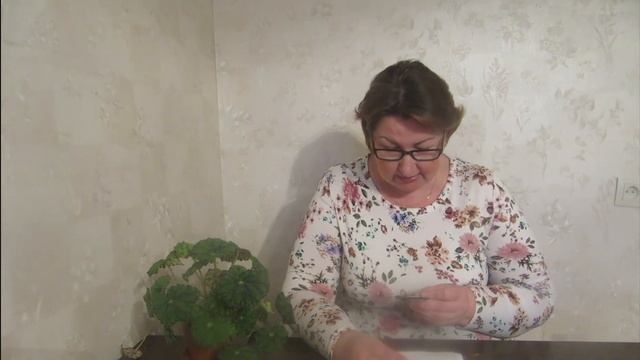 Фитолампы и стеллаж для рассады из Леруа Мерлен. смотреть онлайн